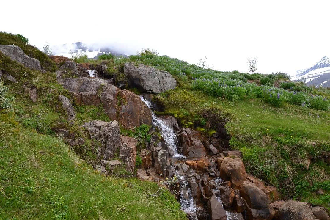 camping-reydarfjordur-reydarfjordur-vznsy