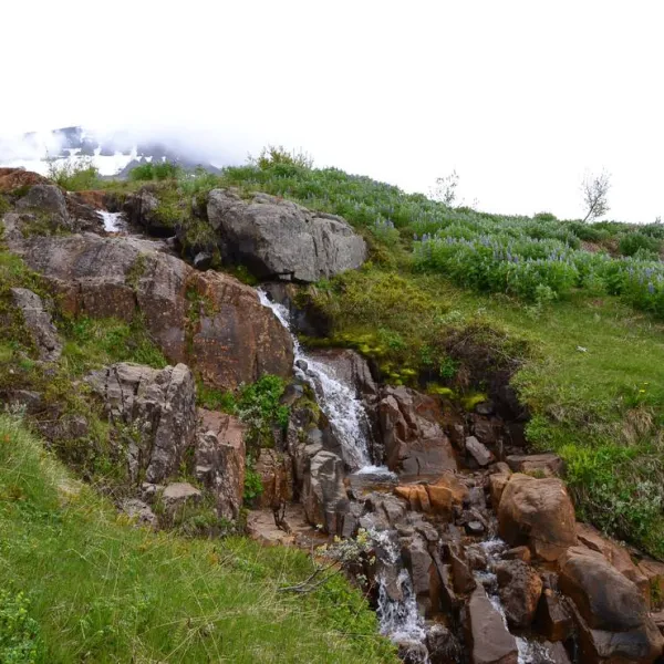 camping-reydarfjordur-reydarfjordur-vznsy