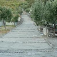 Campeggio degli Ulivi