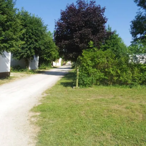camping-domaine-beausejour-la-balme-les-grottes-gkhii