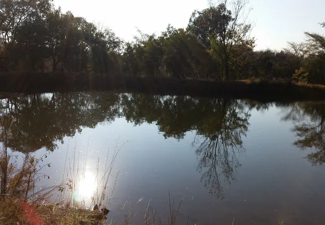 karee-krans-nature-farm-bonjanala-region-north-west-province-80701