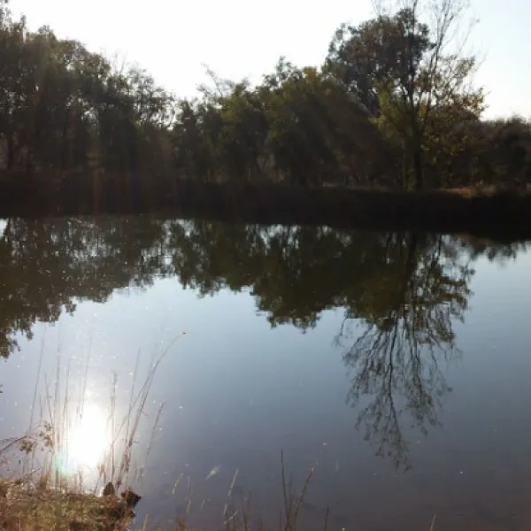 karee-krans-nature-farm-bonjanala-region-north-west-province-80701