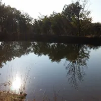 karee-krans-nature-farm-bonjanala-region-north-west-province-80701