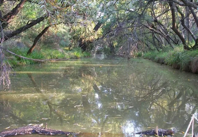 karee-krans-nature-farm-bonjanala-region-north-west-province-ahxwz