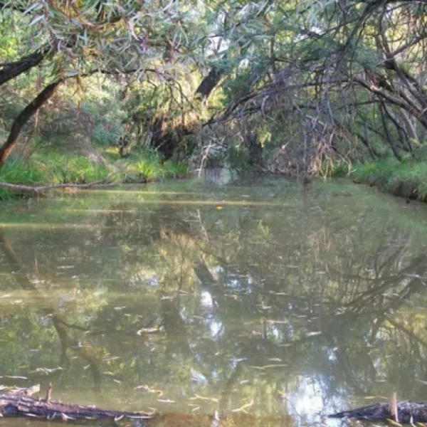 karee-krans-nature-farm-bonjanala-region-north-west-province-ahxwz
