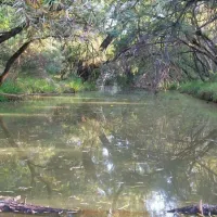 karee-krans-nature-farm-bonjanala-region-north-west-province-ahxwz