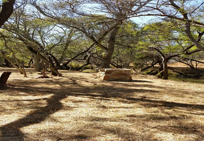 karee-krans-nature-farm-bonjanala-region-north-west-province-ic2jc