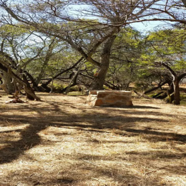 karee-krans-nature-farm-bonjanala-region-north-west-province-ic2jc
