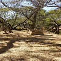 karee-krans-nature-farm-bonjanala-region-north-west-province-ic2jc