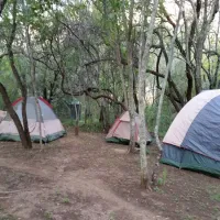 karee-krans-nature-farm-bonjanala-region-north-west-province-mwtf3