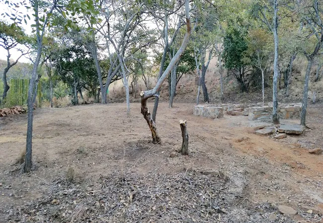 karee-krans-nature-farm-bonjanala-region-north-west-province-nijup