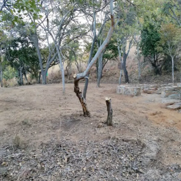 karee-krans-nature-farm-bonjanala-region-north-west-province-nijup