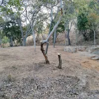 karee-krans-nature-farm-bonjanala-region-north-west-province-nijup