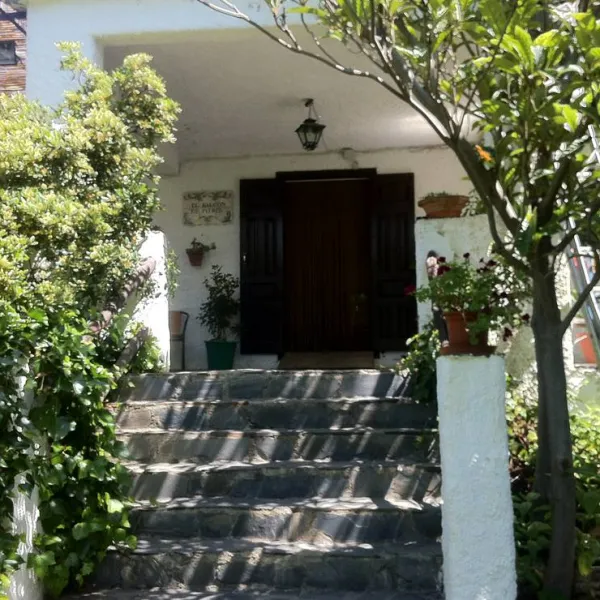camping-balcon-de-pitres-pitres-la-alpujarra-1jayh
