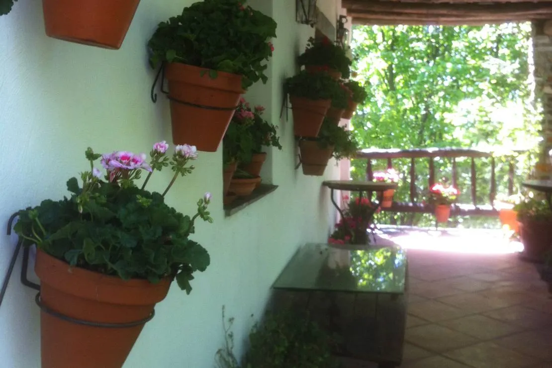 camping-balcon-de-pitres-pitres-la-alpujarra-7zz5q