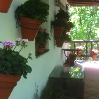 camping-balcon-de-pitres-pitres-la-alpujarra-7zz5q