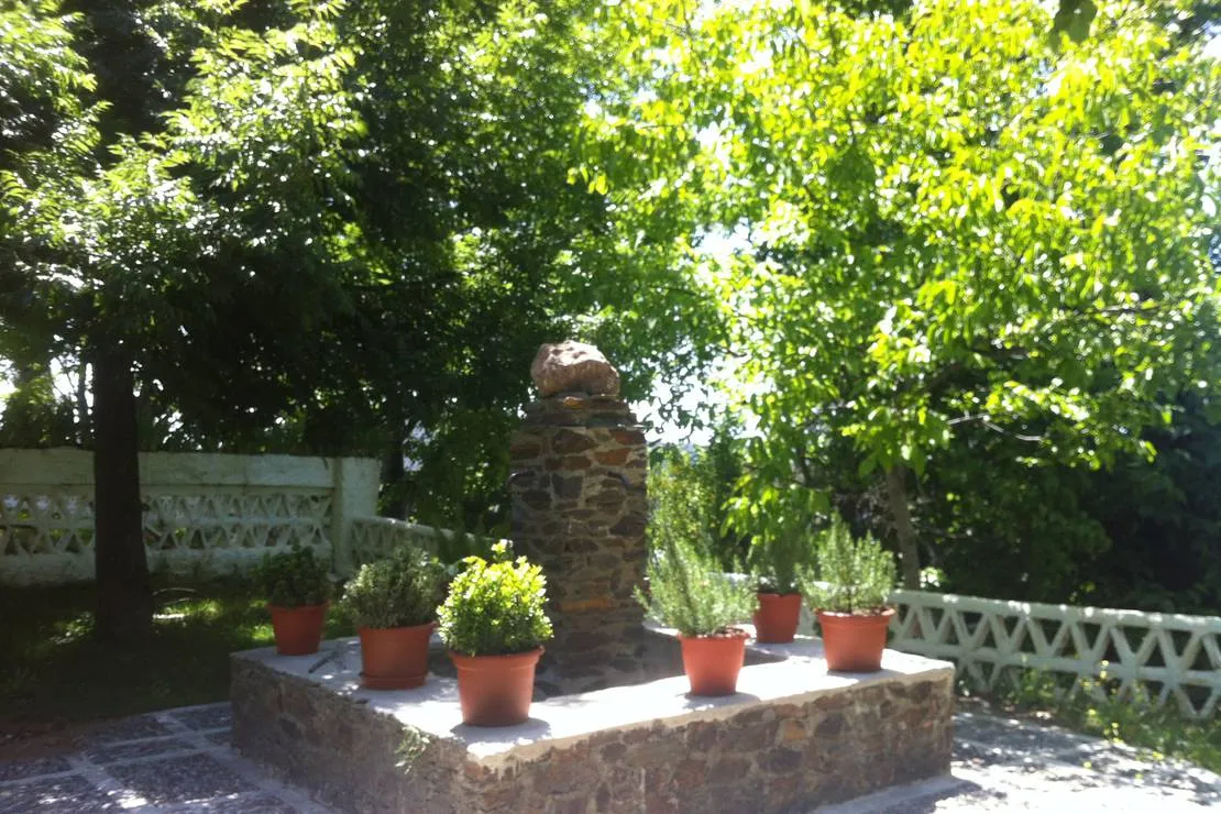 camping-balcon-de-pitres-pitres-la-alpujarra-ditgs