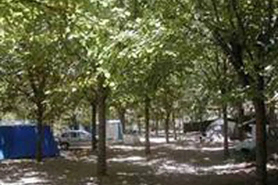 camping-balcon-de-pitres-pitres-la-alpujarra-oxtyf