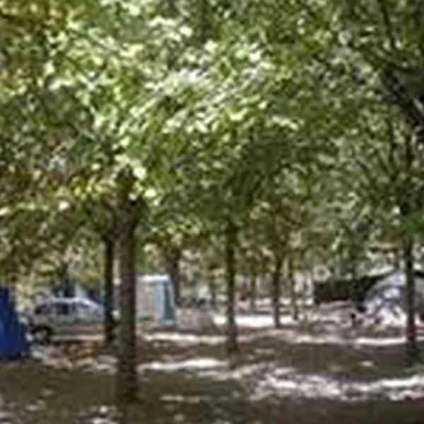 camping-balcon-de-pitres-pitres-la-alpujarra-oxtyf