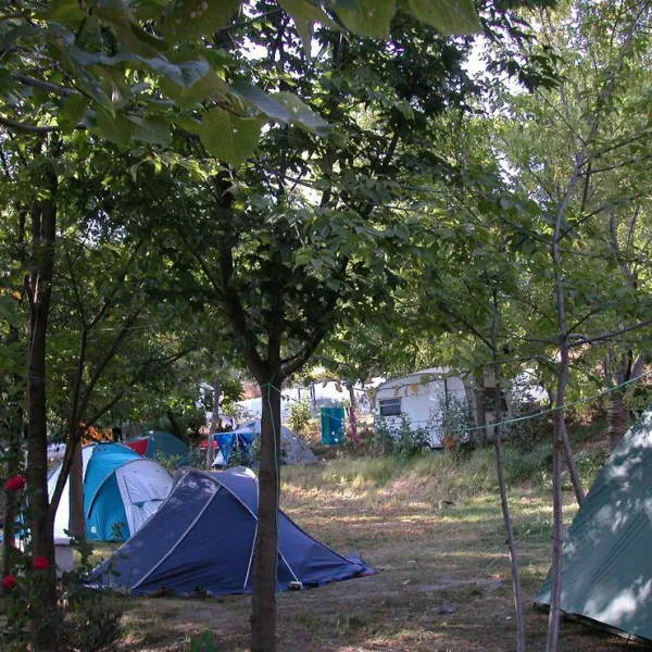 camping-balcon-de-pitres-pitres-la-alpujarra-pimcu