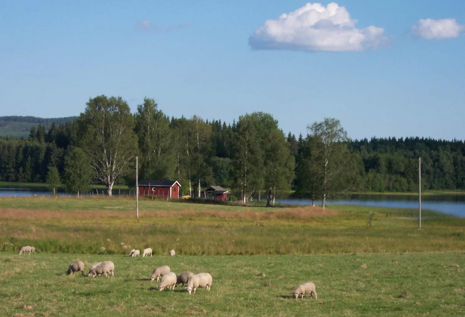 lantliv-hjulsjo-hallefors-9qwot