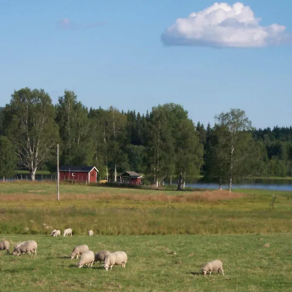 lantliv-hjulsjo-hallefors-9qwot
