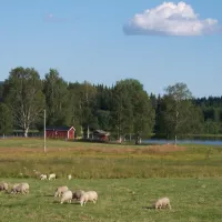 lantliv-hjulsjo-hallefors-9qwot