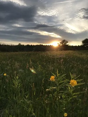 chewonki-campground-wiscasset-kfhwh