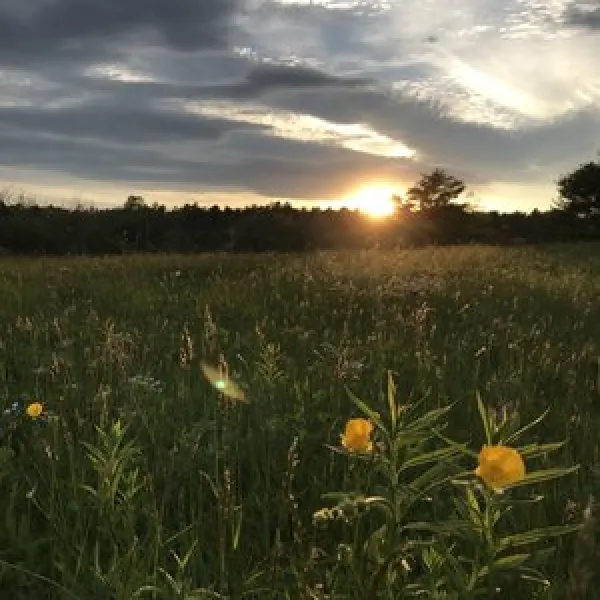 chewonki-campground-wiscasset-kfhwh