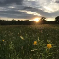 chewonki-campground-wiscasset-kfhwh