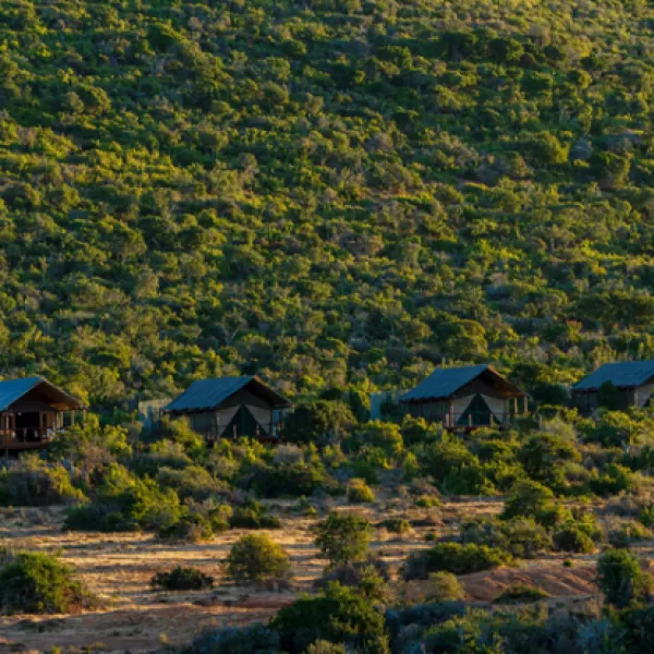 kwandwe-galpin-tented-camp-grahamstown-tytrh
