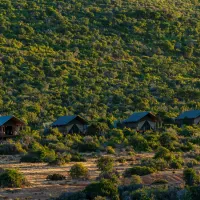 kwandwe-galpin-tented-camp-grahamstown-tytrh