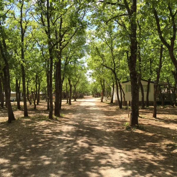 Domaine des Chênes Blancs