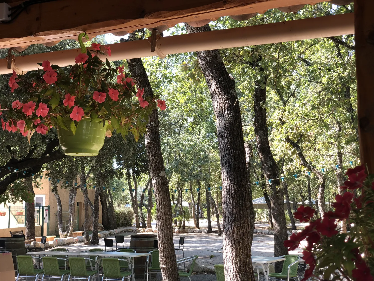 domaine-des-chenes-blancs-st-saturnin-les-apt-rfmk3