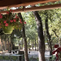 domaine-des-chenes-blancs-st-saturnin-les-apt-rfmk3