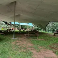 gibaland-pinetown-idniu