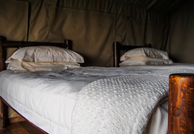 baobab-tented-lodge-tolwe-m35nz