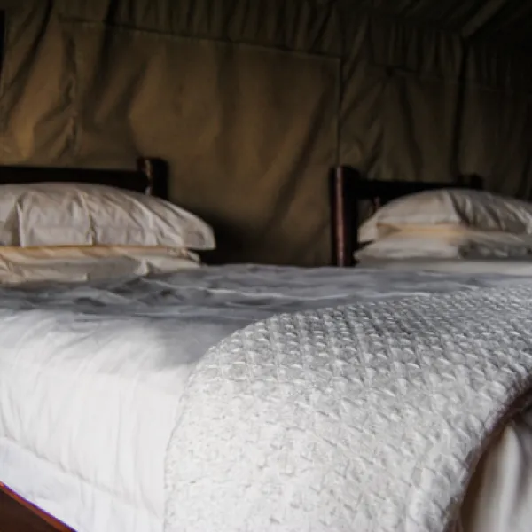 baobab-tented-lodge-tolwe-m35nz