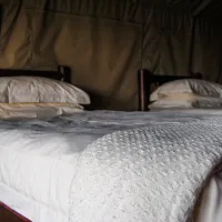 baobab-tented-lodge-tolwe-m35nz