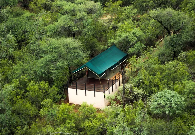 baobab-tented-lodge-tolwe-wulln