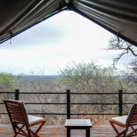 baobab-tented-lodge-tolwe-xapv2
