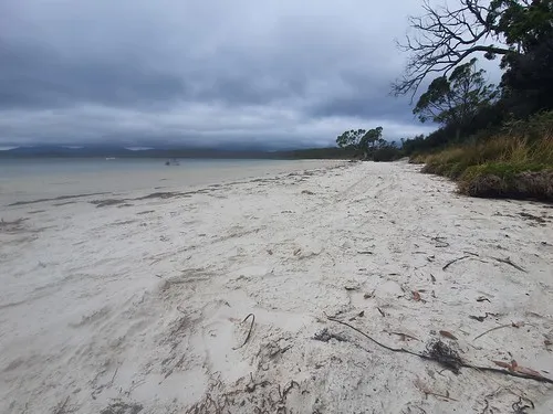 jetty-beach-campground-south-bruny-3g9ql