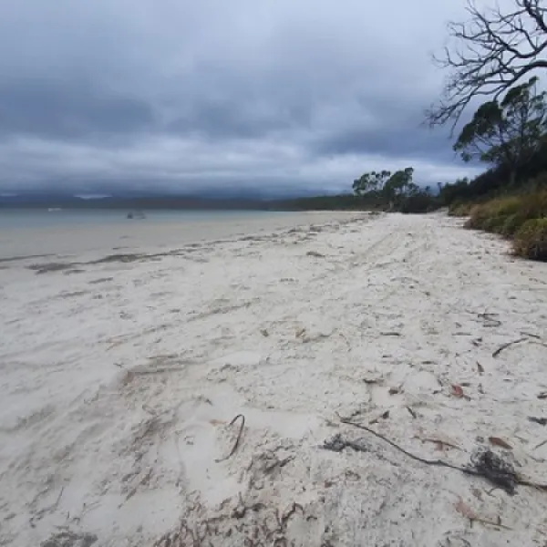 jetty-beach-campground-south-bruny-3g9ql