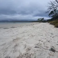 jetty-beach-campground-south-bruny-3g9ql