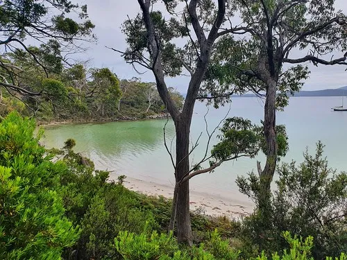 jetty-beach-campground-south-bruny-qdoki