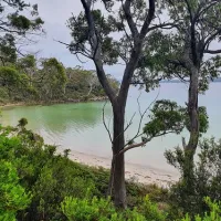 Jetty Beach Campground
