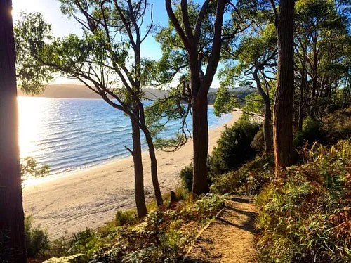 jetty-beach-campground-south-bruny-xoimd