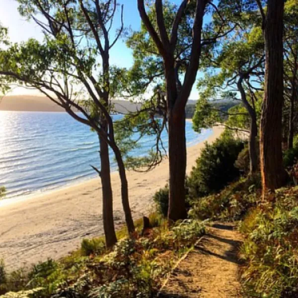 jetty-beach-campground-south-bruny-xoimd