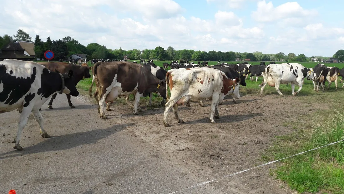 kampeerhoeve-bussloo-bussloo-7qvds