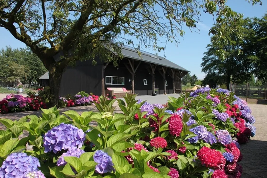 kampeerhoeve-bussloo-bussloo-g1gsx